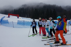 regijsko prvenstvo v alpskem smučanju - veleslalom