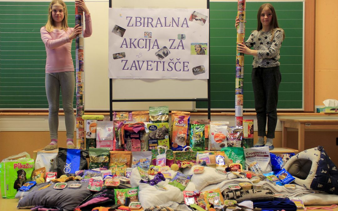 Zbiralna akcija za živali v zavetišču